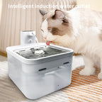 Cat drinking water from an intelligent induction water outlet on a carpeted floor.