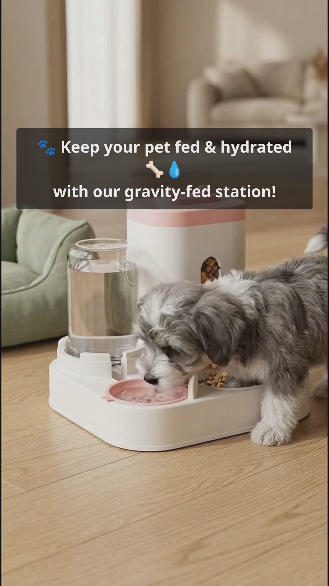 video ad of the gravity pet feeder and water dispenser in use
