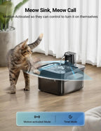 Cat interacting with a motion-activated water fountain on a wooden floor.